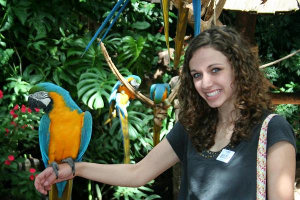 Student with Parrot | Educational Tours to Brazil