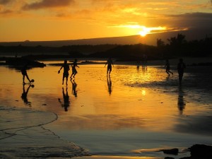 Student tours to Galapagos Island | Educational Travel