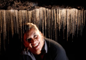 Australia Educational Tour Highlight Glow Worm Grotto Glow Worm Grotto | Photo Credit: http://www.waitomo.com