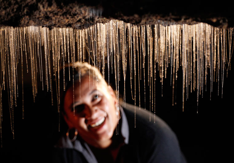 Australia Educational Tour Highlight Glow Worm Grotto  Glow Worm Grotto | Photo Credit: http://www.waitomo.com