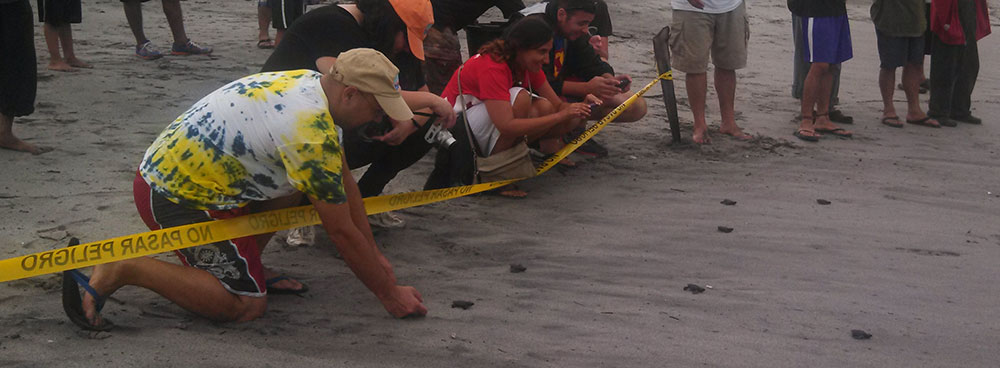 Releasing sea turtles on La Union coast