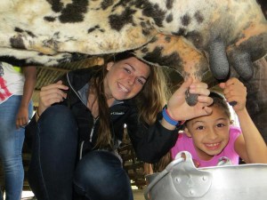 Milking a cow in Monteverde