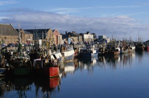 Boats on Ireland's coast